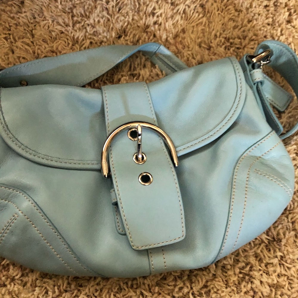 Powder blue leather purse